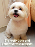 ruff!