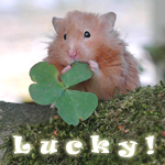 we all could use a lil luck